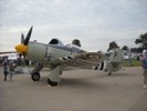 Hawker Sea Fury at Oshkosh