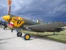 P-40 Warhawk fighter aircraft.